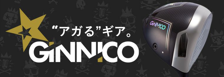 特注・ヘッド在庫有り】GINNICO ジニコ CB+ アイアン【6-Pw(5本組