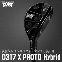 0317 X PROTO ハイブリッド