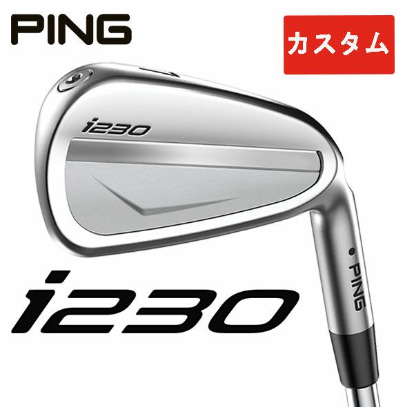 ピン ゴルフ PING i230 アイアン Dynamic Gold 6I~PW(5本セット) 日本