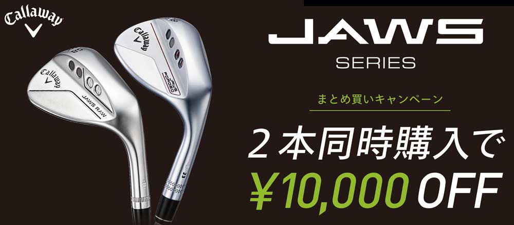 キャロウェイ JAWS RAW Jグラインド ウェッジクロム N.S.PRO 950GH NEO