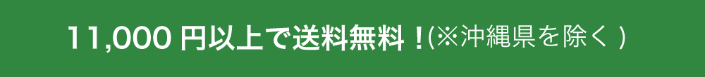 11,000円以上送料無料