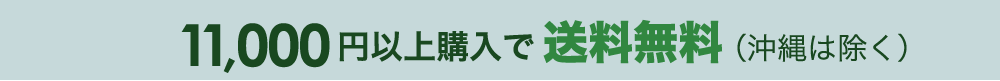 11,000円以上送料無料