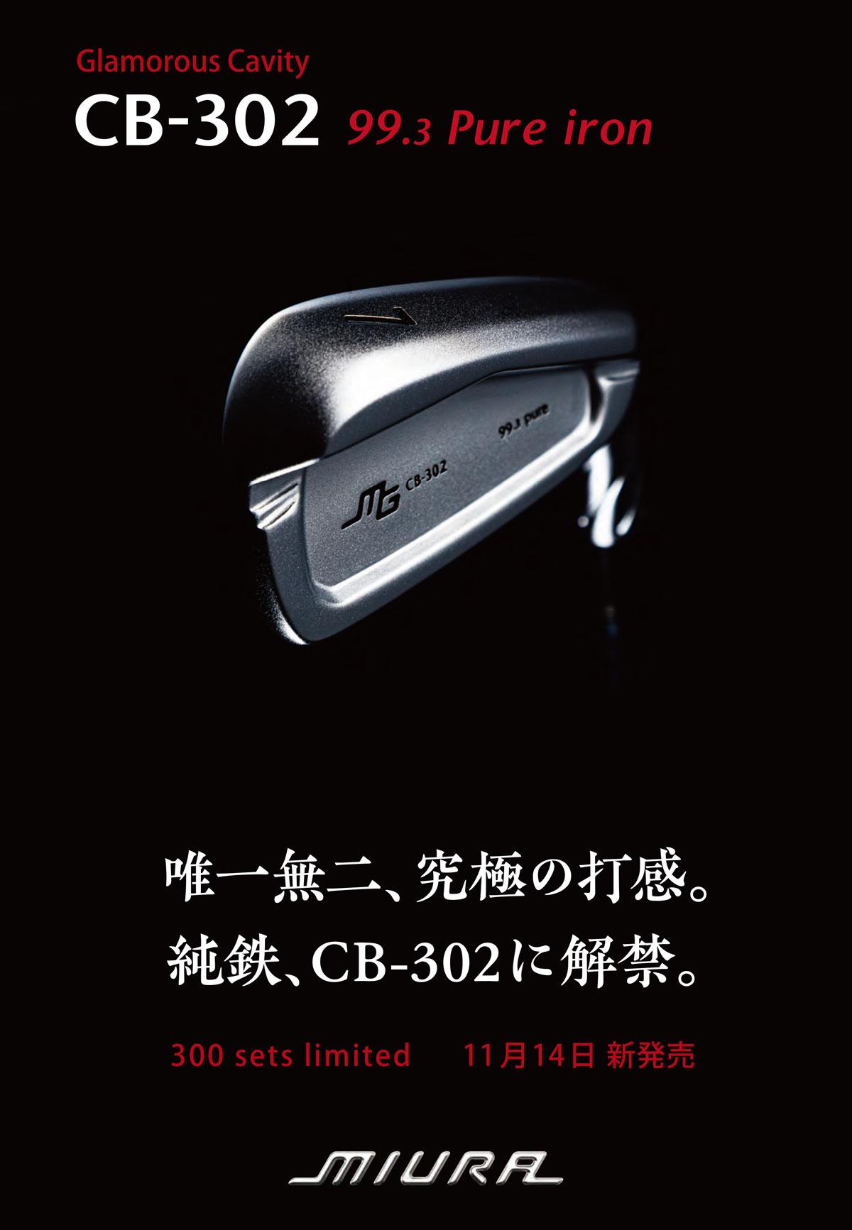 CB-302 純鉄限定 アイアン