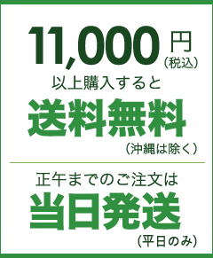 11,000円以上送料無料