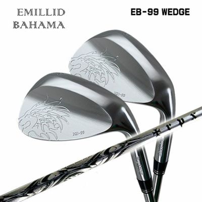 特注・ヘッド在庫有り】エミリッドバハマ EMILLID BAHAMACarlvinson カールヴィンソン CV10 アイアン【#6-AW 6本組セット・カーボン】  | 第一ゴルフオンラインショップ