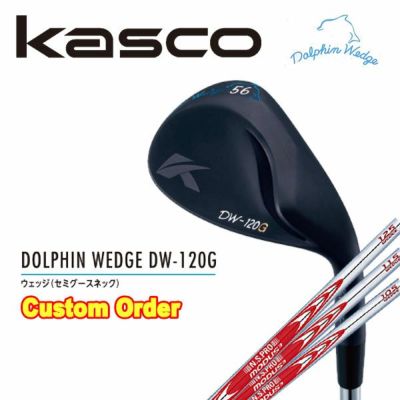 [Custom-made club] Kasco Dolphin Wedge Forged NSPRO950GH Shaft [DW-116]