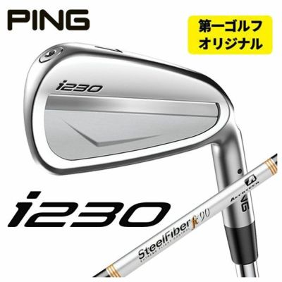 特注カスタムクラブ】PING i230 アイアンエアロテック スチール