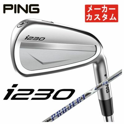 特注カスタムクラブ】PING i230 アイアントゥルーテンパー