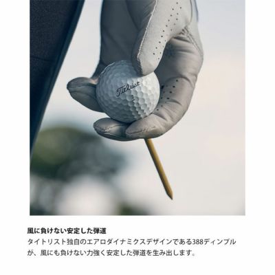 タイトリスト プロ V1 ゴルフボール 1ダース (12球) 日本正規品
