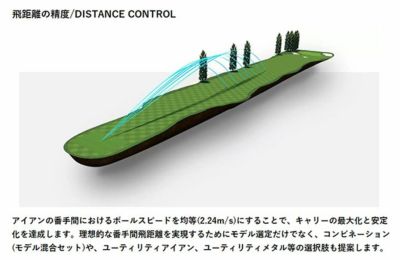 メーカーカスタム】タイトリスト T200アイアンダイナミックゴールド