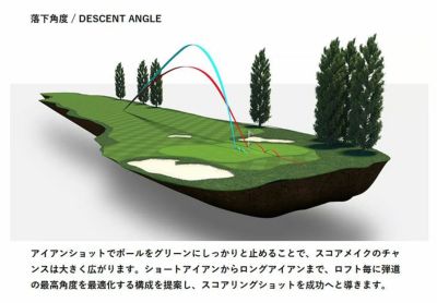 メーカーカスタム】タイトリスト T200アイアンダイナミックゴールド