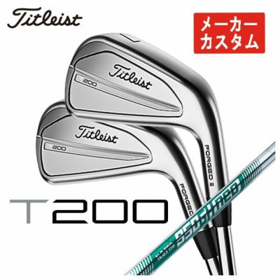 大特価】タイトリスト Titleist T200アイアン NS PRO 880 AMC シャフト