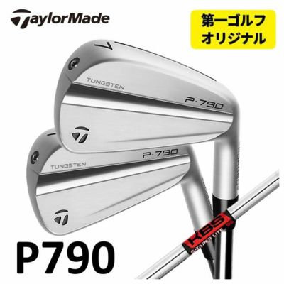 테일러 메이드 P790 아이언 다이내믹 골드 1056 본체(#5~Pw) TaylorMadeDG105 일본 정규품