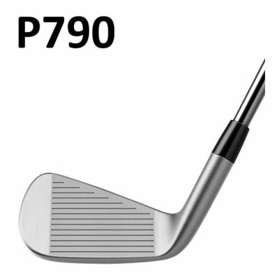 TaylorMade P790 Iron Dynamic Gold 105 6-piece set (#5-Pw) TaylorMade DG105 Official Japanese Product