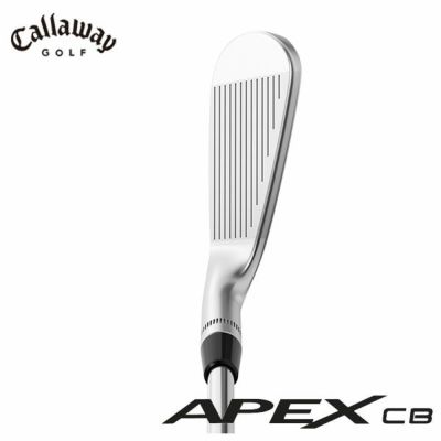 キャロウェイ APEX CB アイアンDynamic Gold MID115(S200)シャフト#5-Pw 6本セット 2023年 |  第一ゴルフオンラインショップ