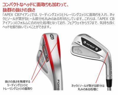 キャロウェイ APEX CB アイアンDynamic Gold MID115(S200)シャフト#5-Pw 6本セット 2023年 | 第一 ゴルフオンラインショップ