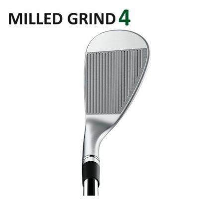 테일러 메이드 P790 아이언 다이내믹 골드 1056 본체(#5~Pw) TaylorMadeDG105 일본 정규품