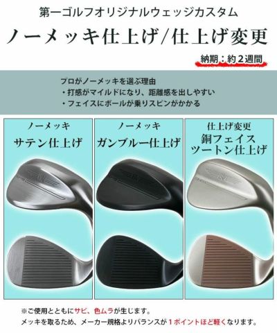 [Manufacturer Custom] FOURTEEN DJ-6 (Chrome) Wedge Fujikura TRAVILIRON Travil Iron Shaft FOURTEEN