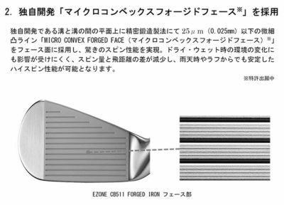 스릭슨 (SRIXON) ZX5MkII 아이언 Diamana ZX-IIforIRON 카본 샤프트 일본 정규품