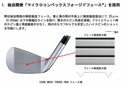 스릭슨 (SRIXON) ZX5MkII 아이언 Diamana ZX-IIforIRON 카본 샤프트 일본 정규품