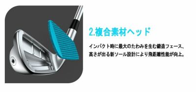 【11月11日発売予定・予約受付中】PINGG430アイアンダイナミックゴールドシャフト#6-PW・45°(6本組)日本正規品