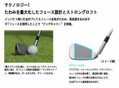 [Scheduled to be released on November 11th/Now accepting reservations] PINGG430 Iron Dynamic Gold Shaft #6-PW・45° (Set of 6) Genuine Japanese product