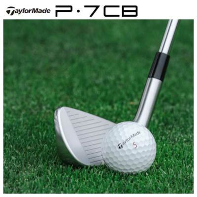 本数選択可能・第一ゴルフカスタム】テーラーメイド P7CB アイアンダイナミックゴールド85・95・105・120 シャフトTaylorMade  P7CB 2024日本正規品 | 第一ゴルフオンラインショップ