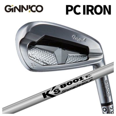 120 スポーツ 【イオンスポーツ GINNICO ジニコ PC アイアン 6-AW 6本