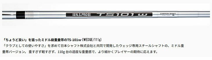 フォーティーン(FOURTEEN)RM-α(クロム)ウェッジN.S.PROTS-101wスチールシャフト