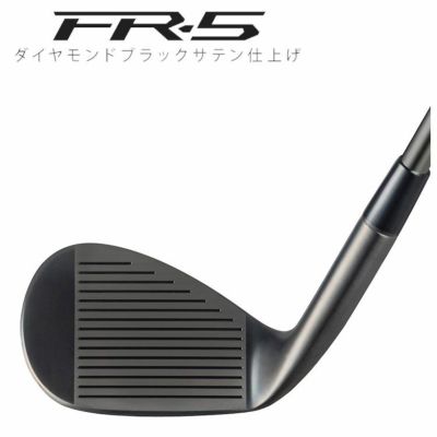 フォーティーン(FOURTEEN)RM-α(クロム)ウェッジN.S.PROTS-101wスチールシャフト