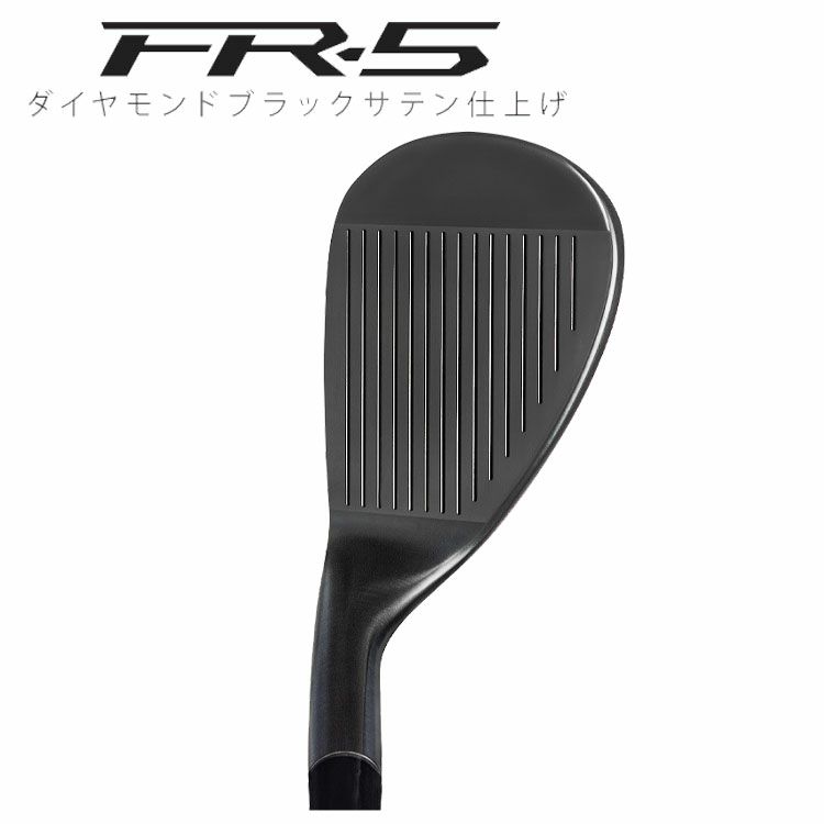 フォーティーン(FOURTEEN)RM-α(クロム)ウェッジN.S.PROTS-101wスチールシャフト