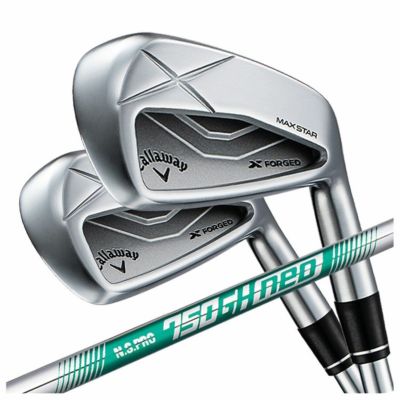 【11月11日発売予定・予約受付中】PINGG430アイアンダイナミックゴールドシャフト#6-PW・45°(6本組)日本正規品