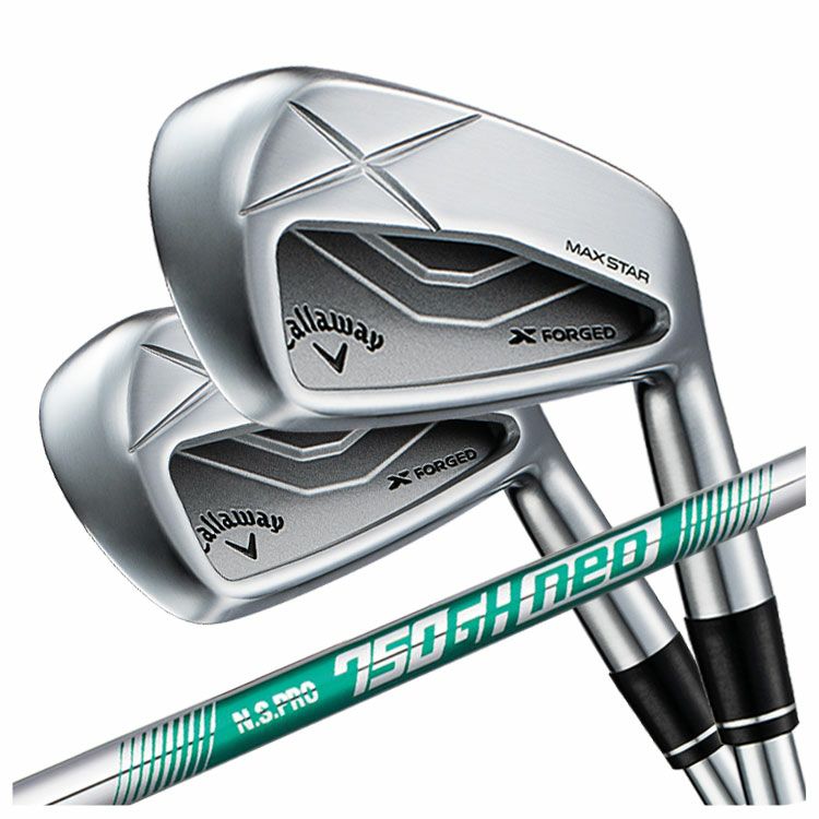 【11月11日発売予定・予約受付中】PINGG430アイアンダイナミックゴールドシャフト#6-PW・45°(6本組)日本正規品