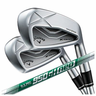 【11月11日発売予定・予約受付中】PINGG430アイアンダイナミックゴールドシャフト#6-PW・45°(6本組)日本正規品