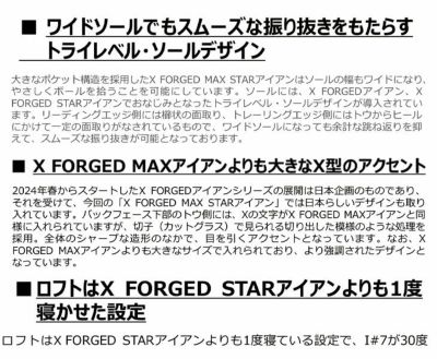 【11月11日発売予定・予約受付中】PINGG430アイアンダイナミックゴールドシャフト#6-PW・45°(6本組)日本正規品