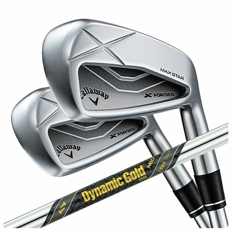 【11月11日発売予定・予約受付中】PINGG430アイアンダイナミックゴールドシャフト#6-PW・45°(6本組)日本正規品