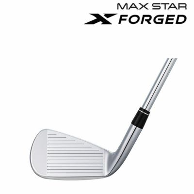 【11月11日発売予定・予約受付中】PINGG430アイアンダイナミックゴールドシャフト#6-PW・45°(6本組)日本正規品