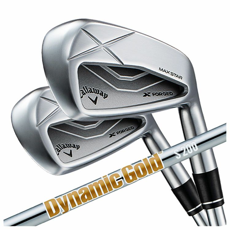 【11月11日発売予定・予約受付中】PINGG430アイアンダイナミックゴールドシャフト#6-PW・45°(6本組)日本正規品