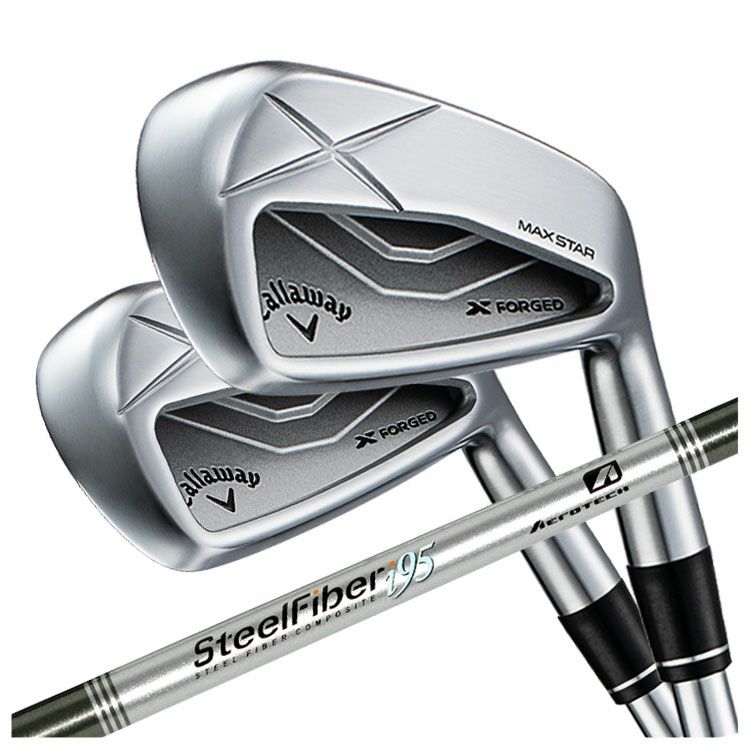 【11月11日発売予定・予約受付中】PINGG430アイアンダイナミックゴールドシャフト#6-PW・45°(6本組)日本正規品