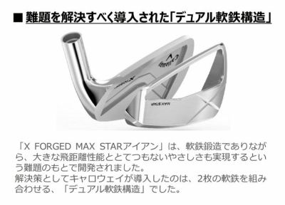 【11月11日発売予定・予約受付中】PINGG430アイアンダイナミックゴールドシャフト#6-PW・45°(6本組)日本正規品