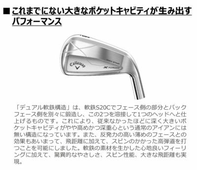 【11月11日発売予定・予約受付中】PINGG430アイアンダイナミックゴールドシャフト#6-PW・45°(6本組)日本正規品