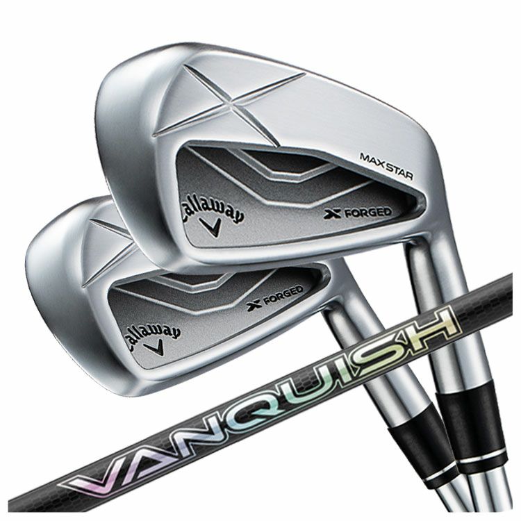 【11月11日発売予定・予約受付中】PINGG430アイアンダイナミックゴールドシャフト#6-PW・45°(6本組)日本正規品