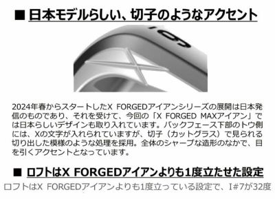 【11月11日発売予定・予約受付中】PINGG430アイアンダイナミックゴールドシャフト#6-PW・45°(6本組)日本正規品