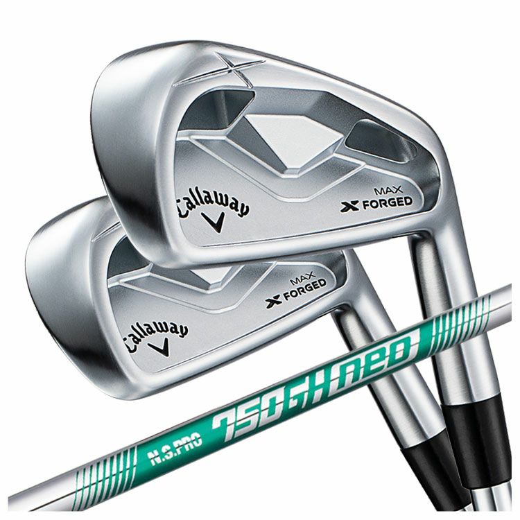 【11月11日発売予定・予約受付中】PINGG430アイアンダイナミックゴールドシャフト#6-PW・45°(6本組)日本正規品