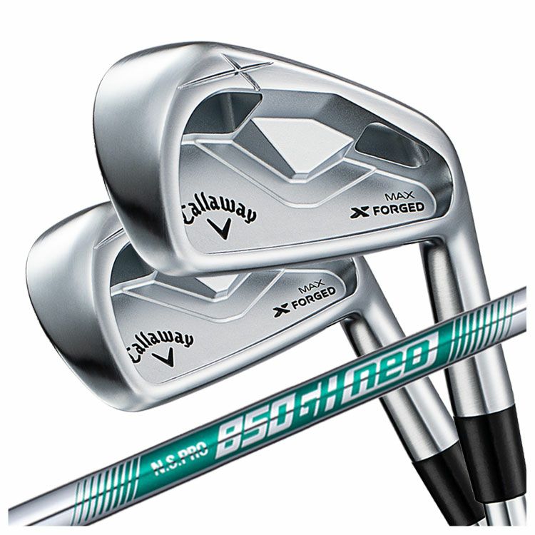 【11月11日発売予定・予約受付中】PINGG430アイアンダイナミックゴールドシャフト#6-PW・45°(6本組)日本正規品