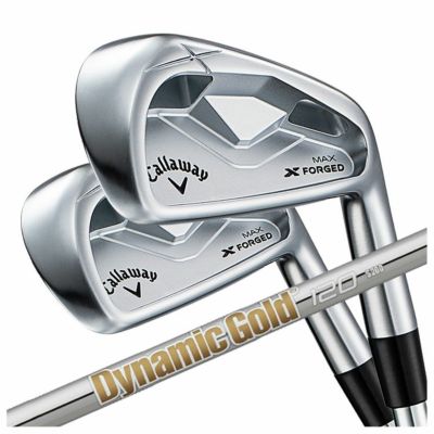 【11月11日発売予定・予約受付中】PINGG430アイアンダイナミックゴールドシャフト#6-PW・45°(6本組)日本正規品