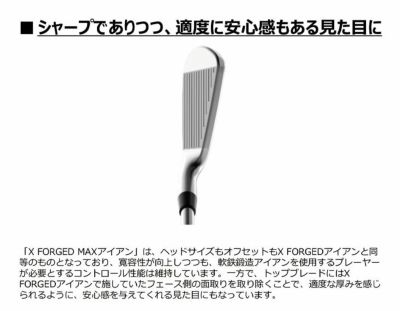 【11月11日発売予定・予約受付中】PINGG430アイアンダイナミックゴールドシャフト#6-PW・45°(6本組)日本正規品