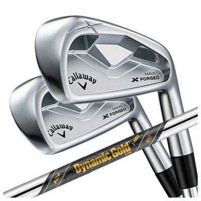 【11月11日発売予定・予約受付中】PINGG430アイアンダイナミックゴールドシャフト#6-PW・45°(6本組)日本正規品