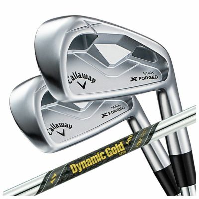 【11月11日発売予定・予約受付中】PINGG430アイアンダイナミックゴールドシャフト#6-PW・45°(6本組)日本正規品