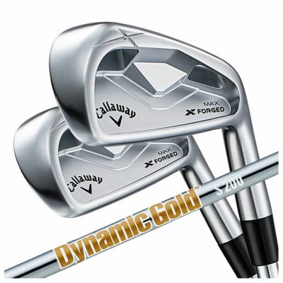 【11月11日発売予定・予約受付中】PINGG430アイアンダイナミックゴールドシャフト#6-PW・45°(6本組)日本正規品